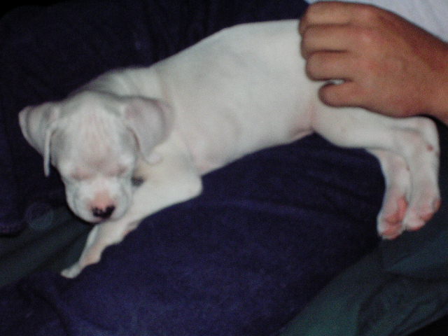 Venus' first week home