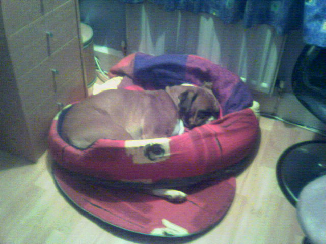Very Comfortable!!