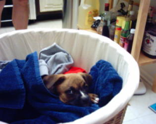 Very Comfy!