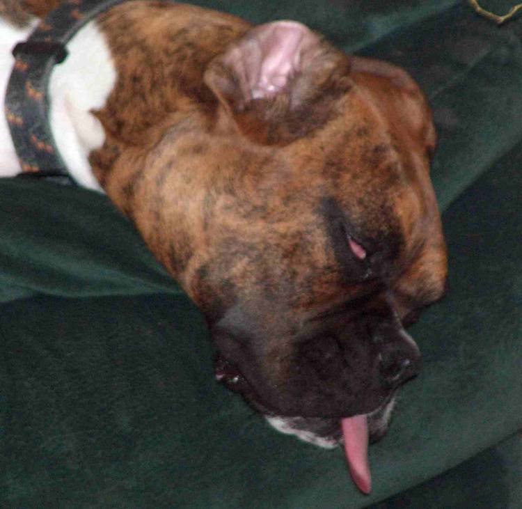 Very tired Keyla
