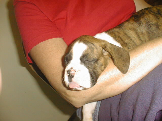 Very tired...