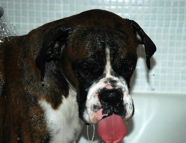 very wet Henri