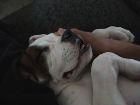 Vicious sleeper!
