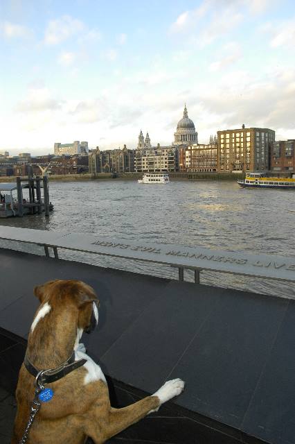 viewing St Paul\\\'s Cathedral