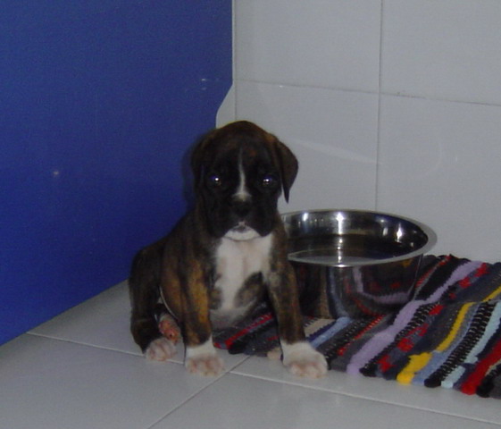 Vilma in the kitchen