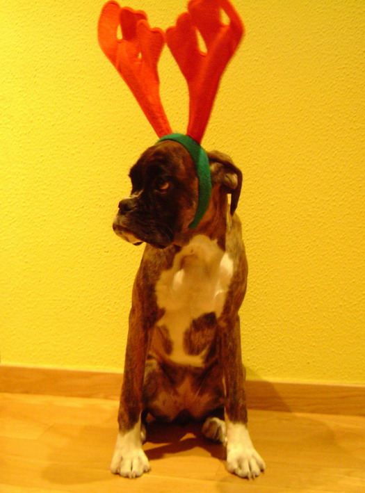 Vilma Xmas 2005