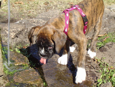 vilma_en_la_fuente