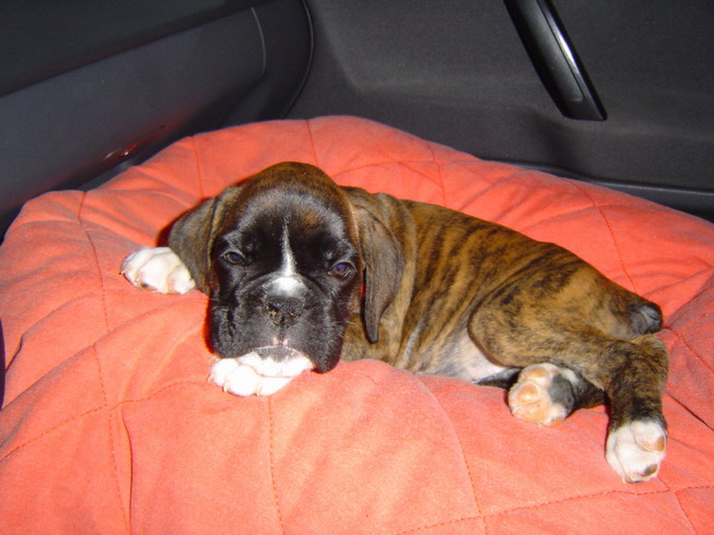 vilma_sleeping