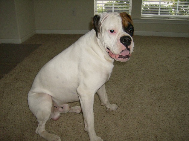 vince 1 year old