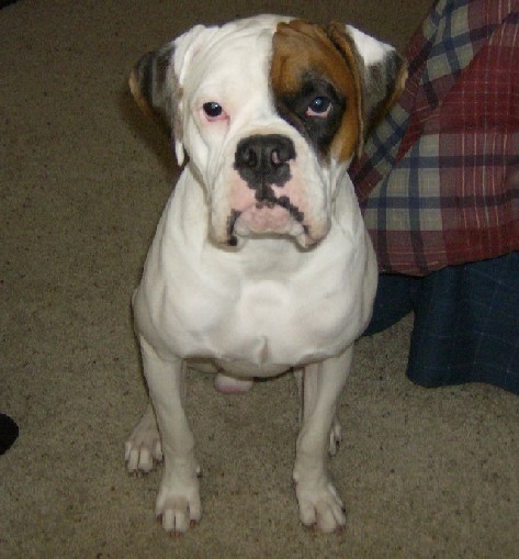 Vince at 8 months