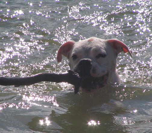 Visiting the Lake 2006
