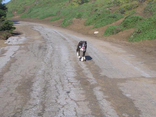 Vroooooom!