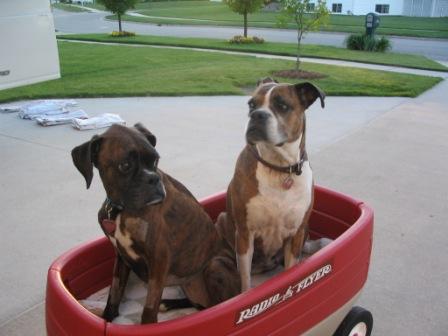 Wagon Ride