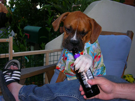 wait a minute, he's not 21 yet!
