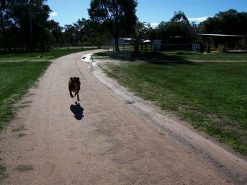 Wait for me,Mum!!