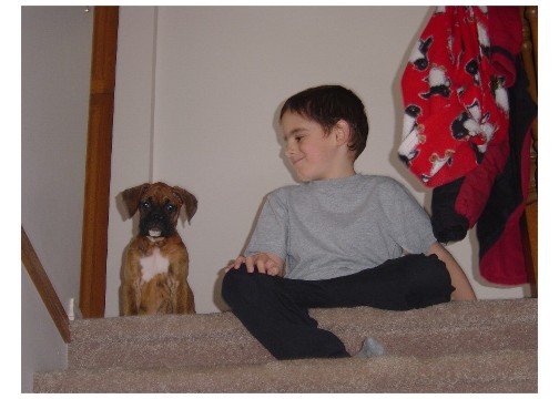 Waiting at the top of the stairs