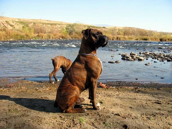 waiting for a instruction
