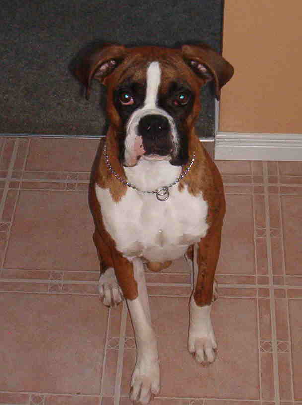 waiting for a treat!