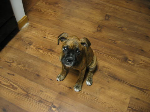 waiting for a treat....