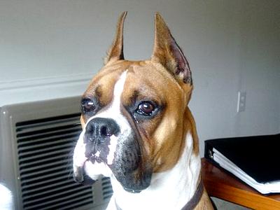 Waiting for Dad to come home