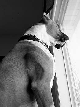 Waiting for Dad to come home