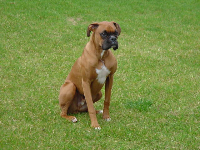 Waiting for dad to throw the ball