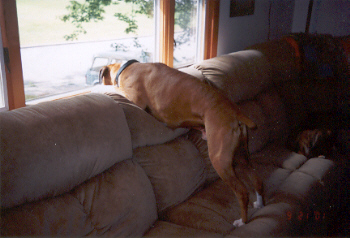 Waiting for Dad