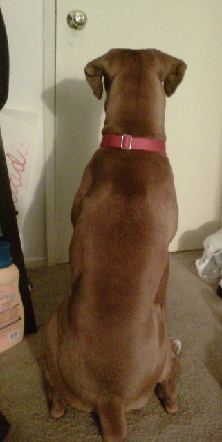 waiting for dad