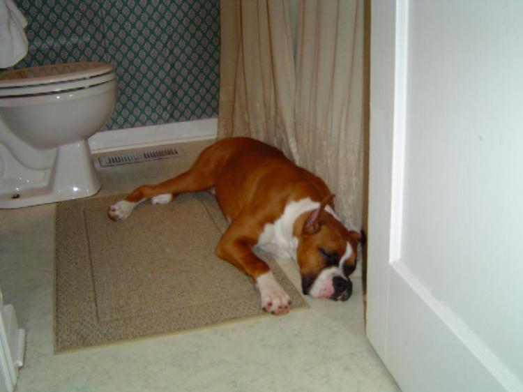 Waiting for Daddy in the Shower