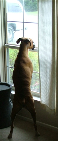 Waiting for daddy