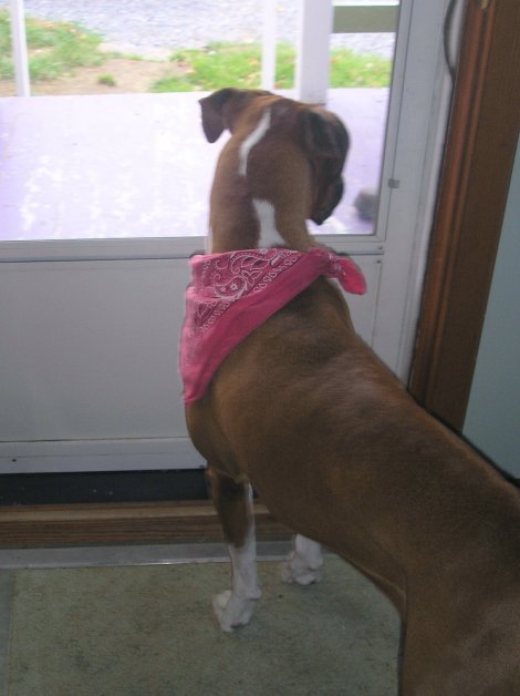 Waiting for Daddy