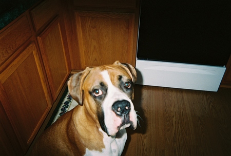 Waiting for Dinner