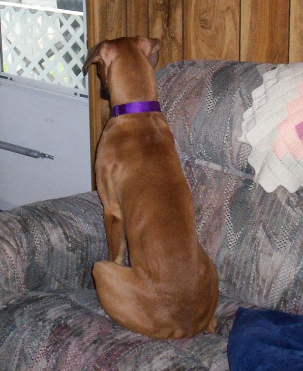Waiting for Mom to get home