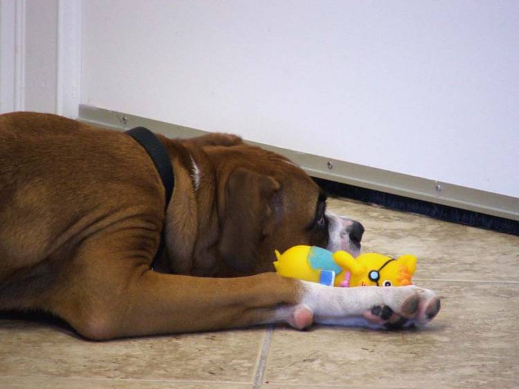 Waiting for mom