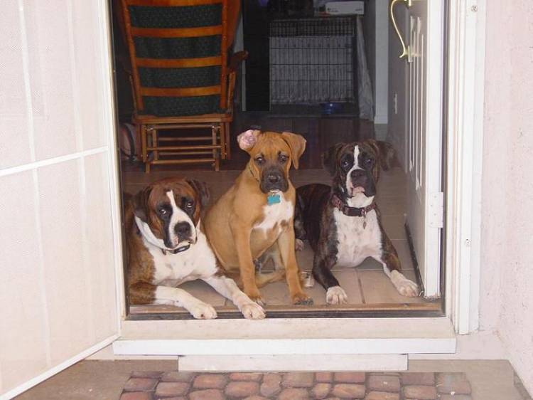 Waiting for permission to go outside