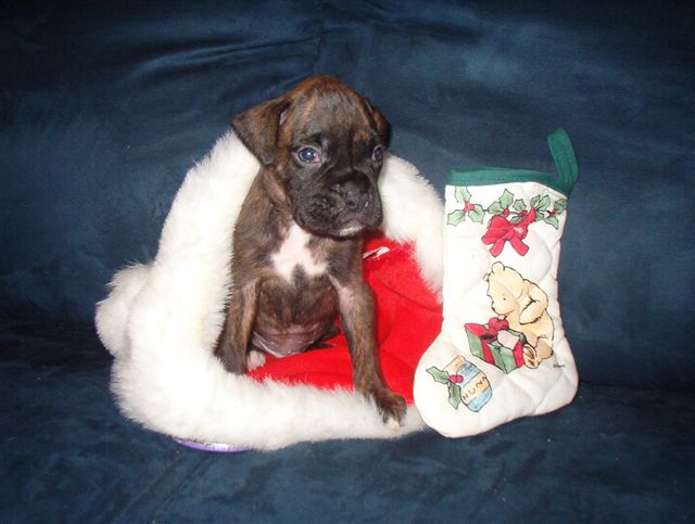 Waiting For Santa