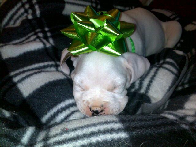 waiting for Santa.(: