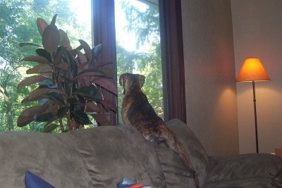 Waiting for the kids.