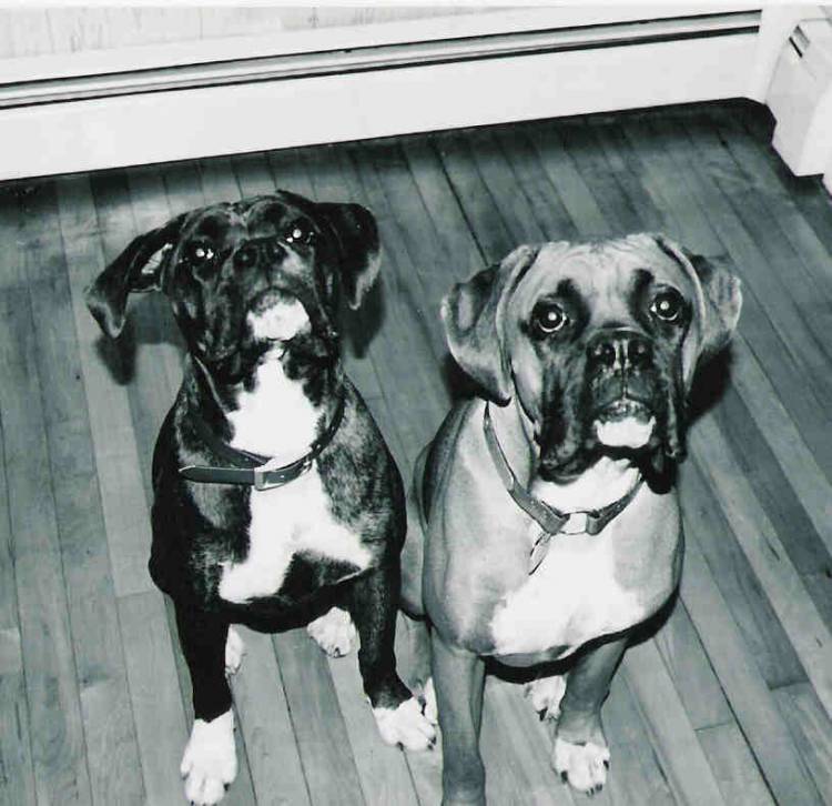 waiting for treats