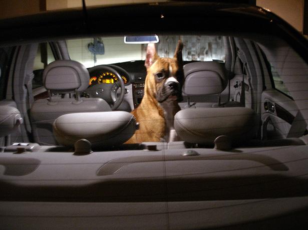 Waiting in the car