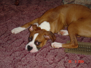 waiting on daddy to get home