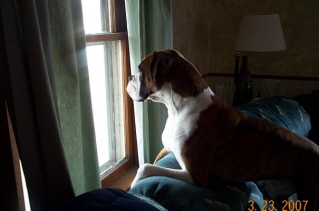 waiting patiently
