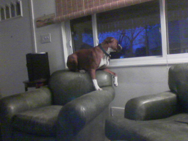 Waiting to Come Home