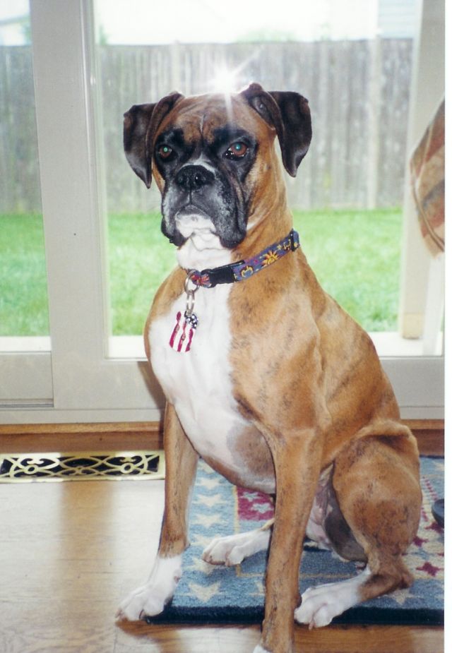 Waiting to go outside