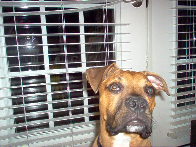 Waiting to go potty!!!!!!