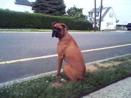 waiting_for_daddy1