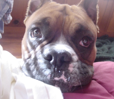 Wake Up Mommy!