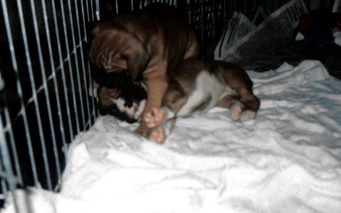 Wake up sleepyhead!