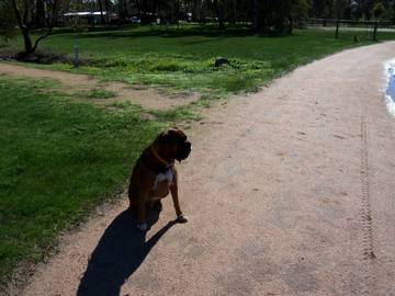 Waldo's Sunday walk