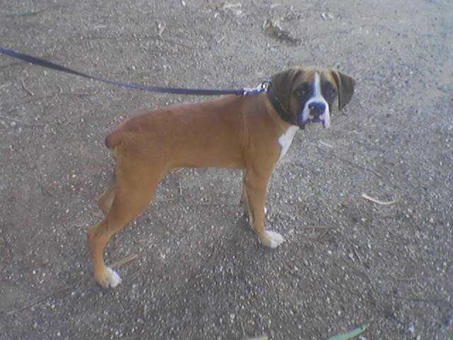 walk at the park
